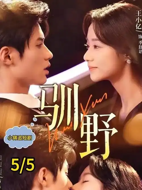短剧 重生之职场风暴